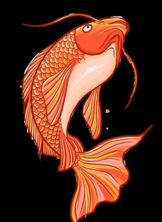 锦鲤元素图片