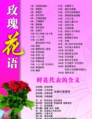 玫瑰花语图片
