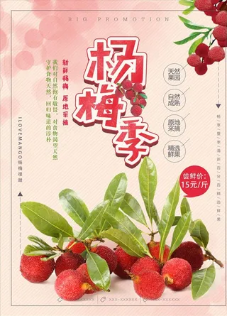 新鲜水果杨梅特写广告图片
