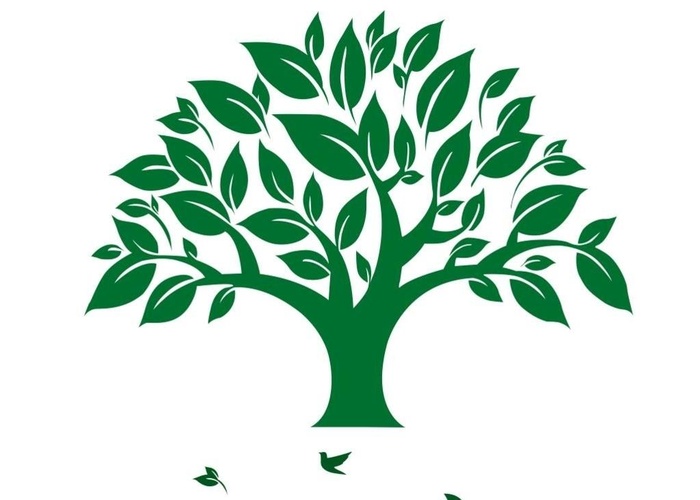 矢量绿色树树叶环保cdr鸟图片