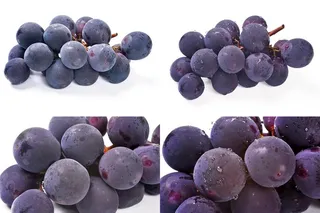 紫葡萄图片