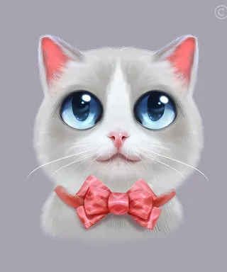 手机壳图案图片