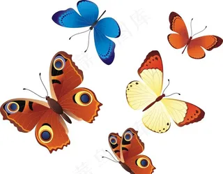 矢量蝴蝶素材图片
