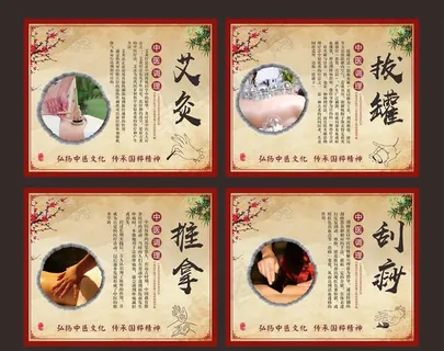 中医展板图片
