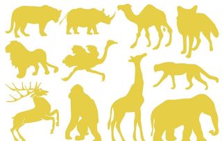 陆生动物剪影图片