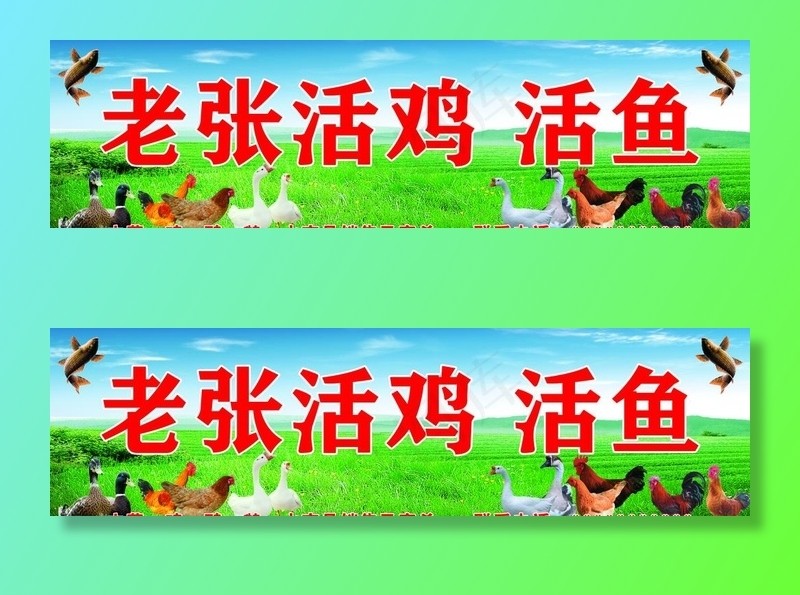 活鸡活鱼门头图片psd模版下载