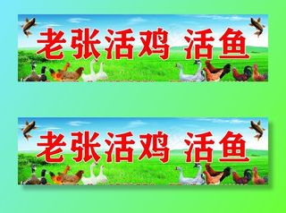 活鸡活鱼门头图片