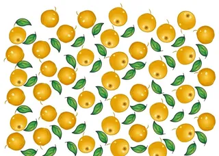 秋月梨素材图片