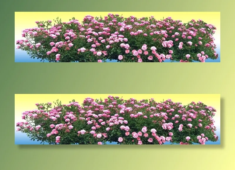 园林花坛 图片(4250x1175)psd模版下载