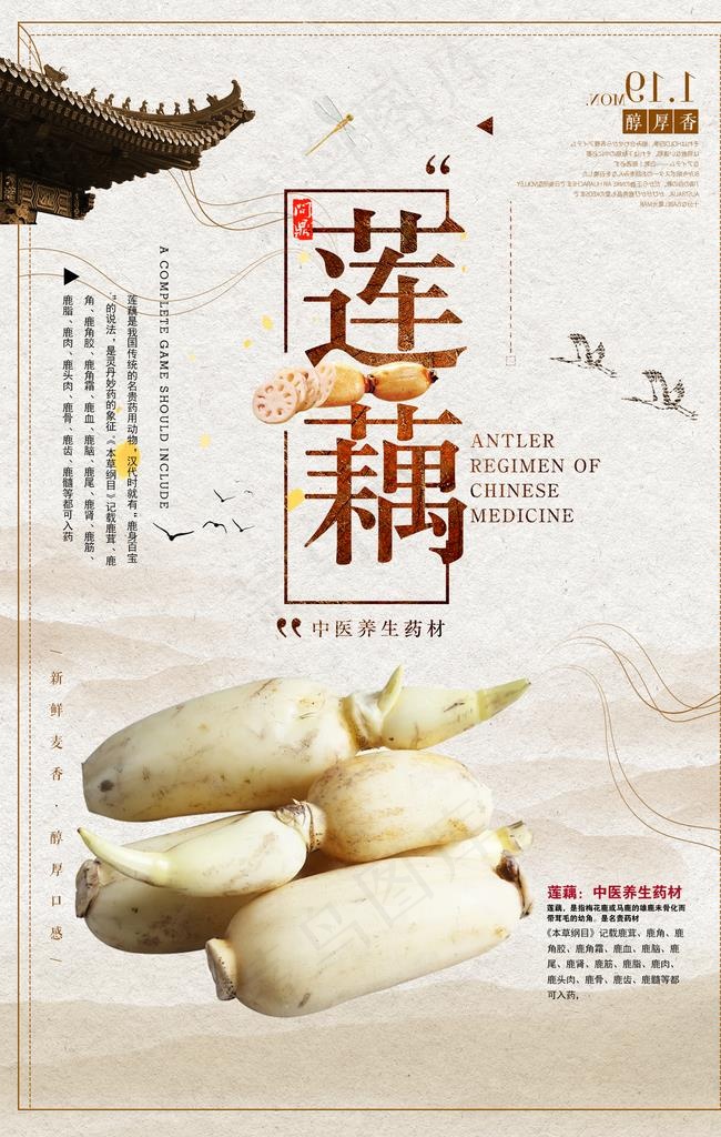 莲藕海报图片psd模版下载