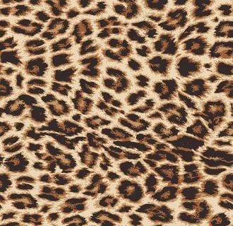 豹纹图片 豹纹图片