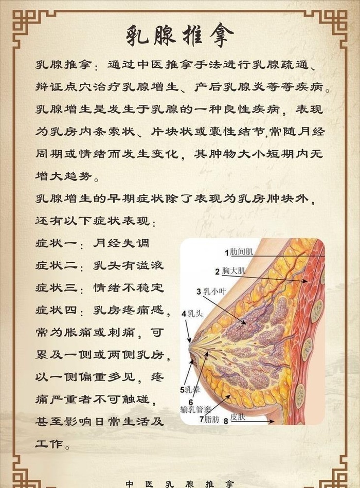 乳腺推拿图图片cdr矢量模版下载