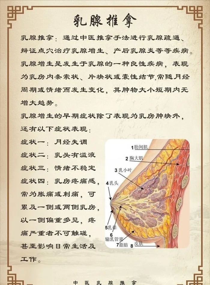 乳腺推拿图图片cdr矢量模版下载