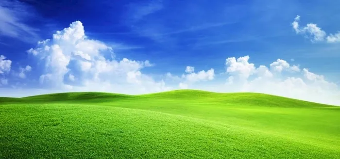 蓝天白云绿草地图片