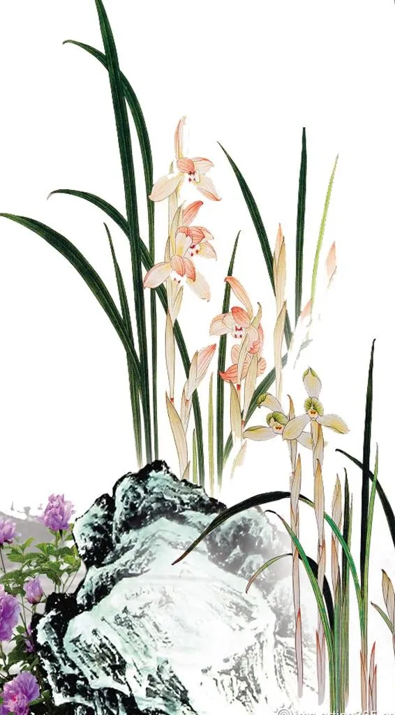 国画兰花图片(600x1027)psd模版下载