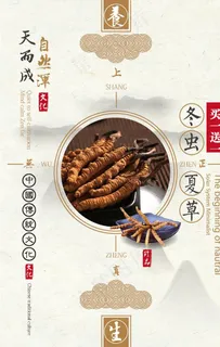 中国风中药文化冬虫夏草促销海报图片