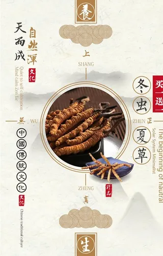 中国风中药文化冬虫夏草促销海报图片