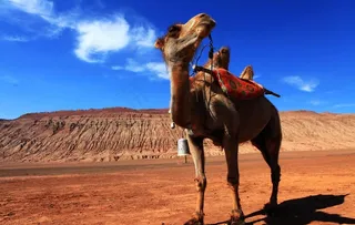 新疆吐鲁番火焰山图片