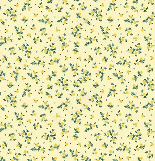 花朵 花卉 欧美印花 各种花图片