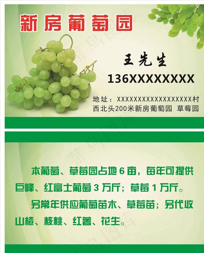 葡萄名片图片psd模版下载