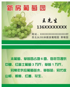 葡萄名片图片