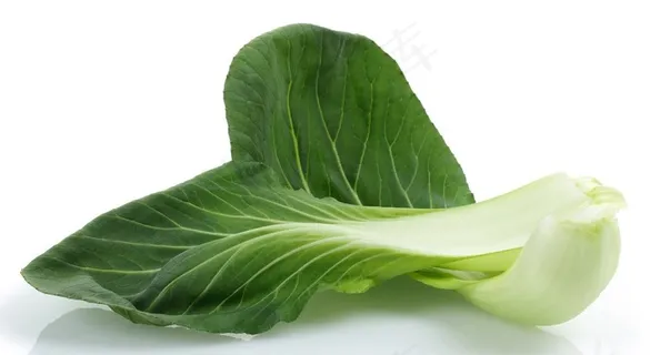 青菜白菜图片