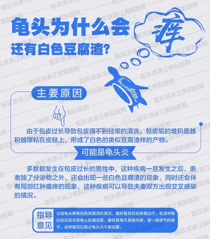 男科常识图片psd模版下载