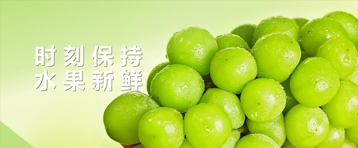 葡萄阳光玫瑰图片