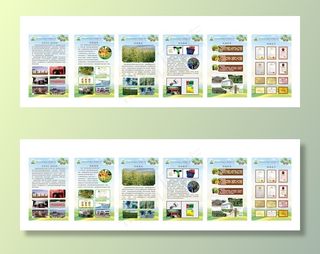 猕猴桃农业展板图片