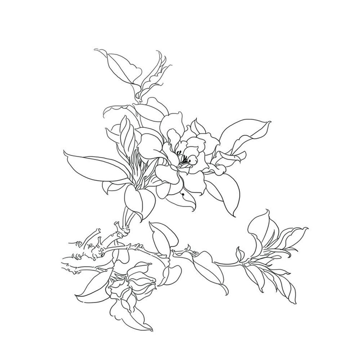 手绘花图片(2835x2835)psd模版下载