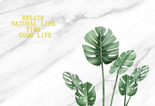 简约现代植物大理石背景墙图片