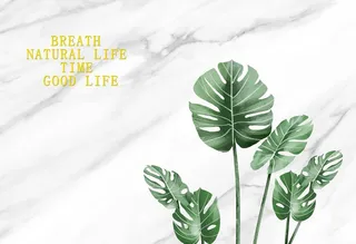 简约现代植物大理石背景墙图片