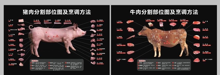 猪牛肉分割图图片