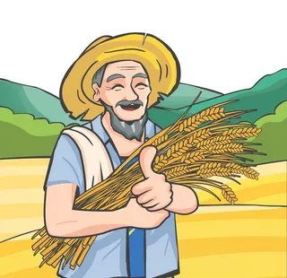 农民丰收插画图片
