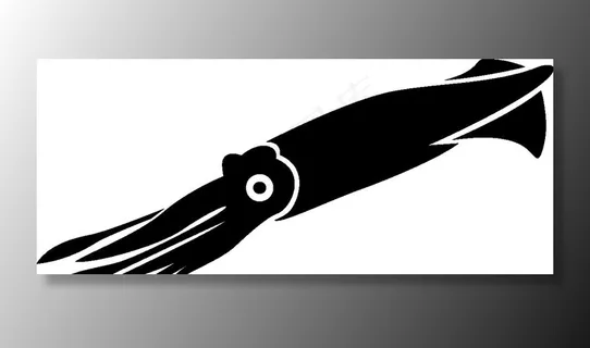 海洋生物系列 鱿鱼图片