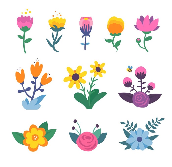 各种花朵手绘图片