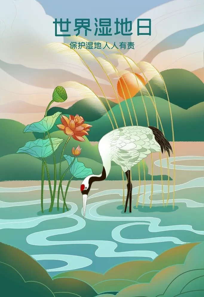 世界湿地日海报图片(2362x3543)psd模版下载