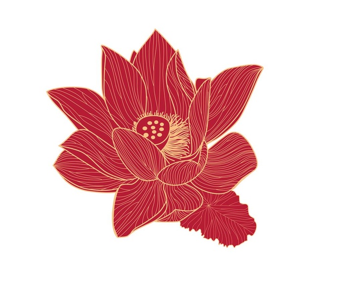 矢量荷花莲花图片ai矢量模版下载