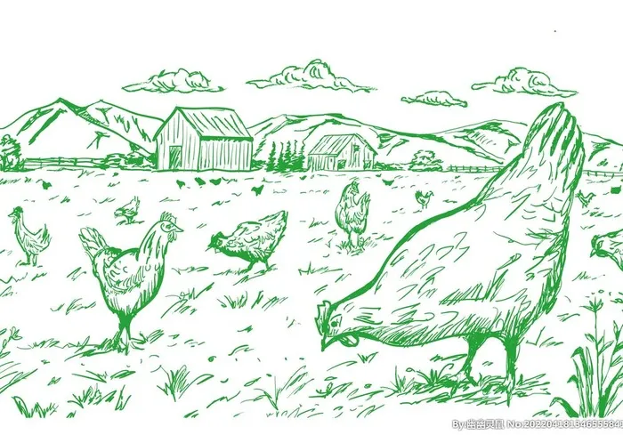农场鸡舍图片ai矢量模版下载