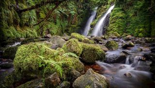 户外森林自然景观背景素材图片