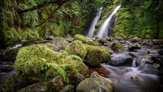 户外森林自然景观背景素材图片