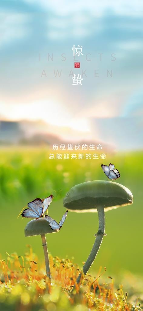 早安图 励志图片(1200x2438)psd模版下载