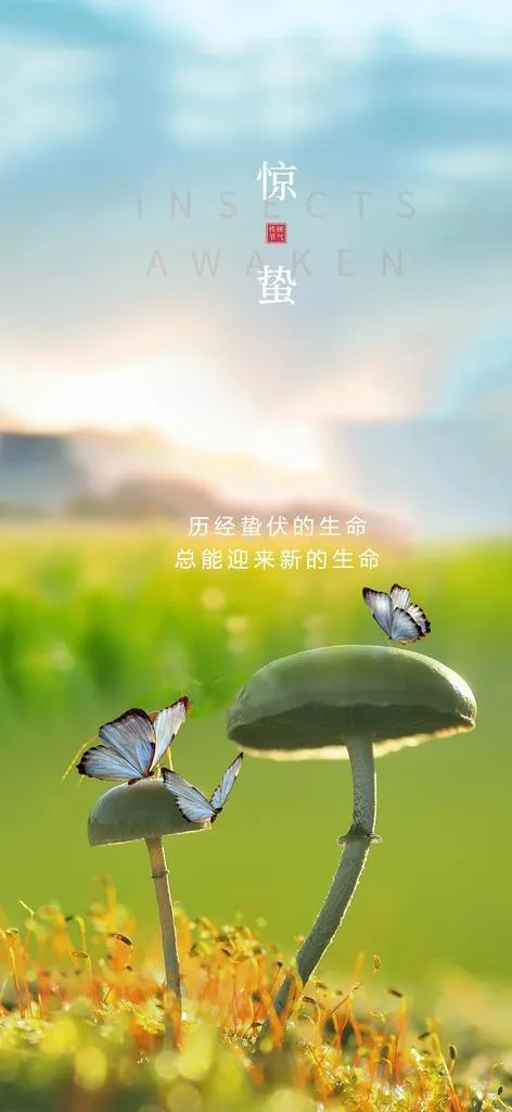 早安图 励志图片(1200x2438)psd模版下载