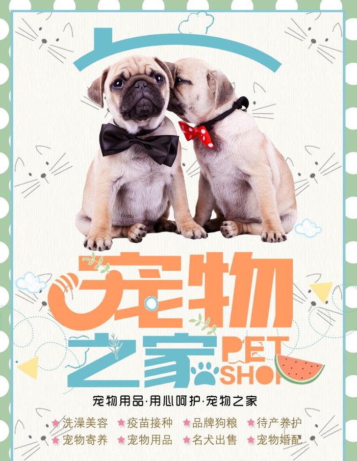 宠物图片(3544x4724)psd模版下载