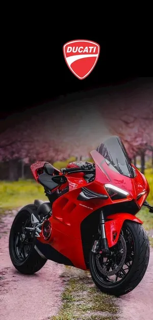 杜卡迪 DUCATI 机车图片