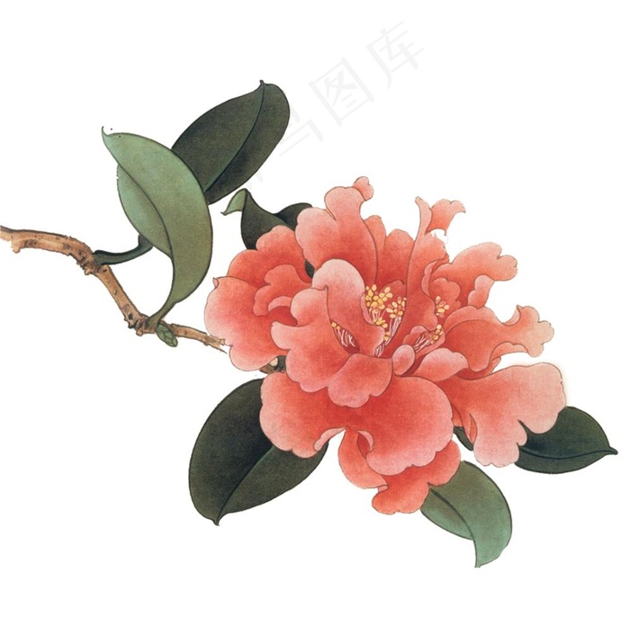 花图片psd模版下载