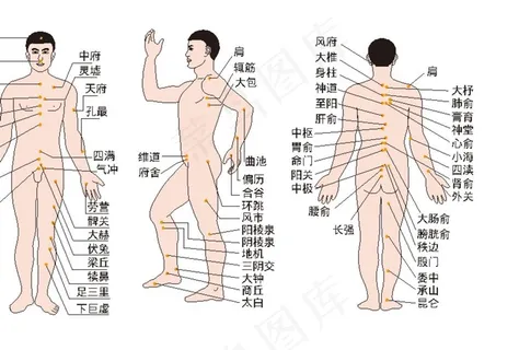 人体穴位图图片 人体穴位图图片