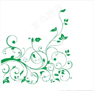 花藤图片 花藤图片