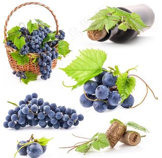 葡萄图片