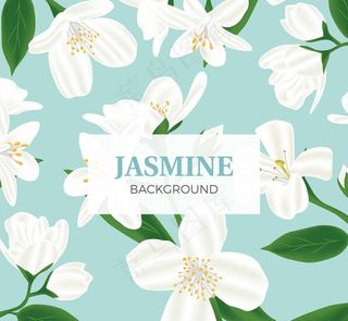 白色茉莉花无缝背景矢量素材图片